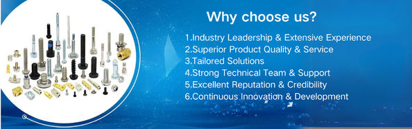 quality Automobile Fasteners factory