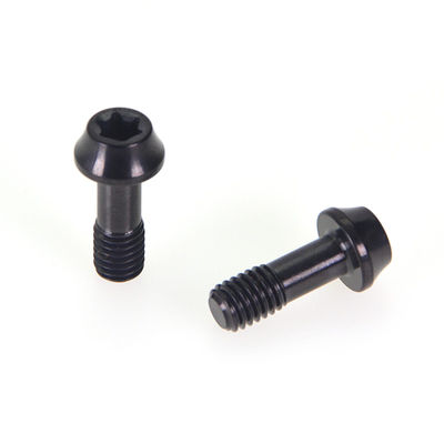 Black PVD Decorative Screws Non Standard Head Stainless Steel Screws Treated Torx Slot