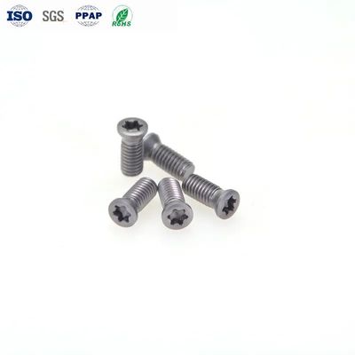 Customized M1.6-M8 High Strength Screws for Cutting Tool and Small Screw Fastener