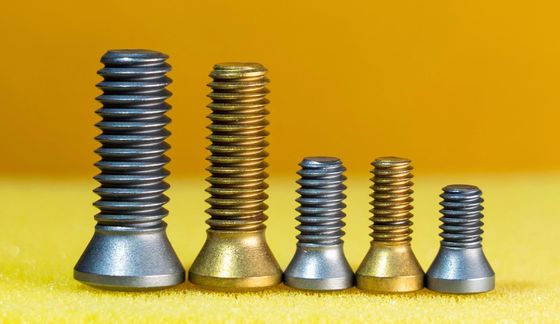 Customized High Strength M1.6 Cutting Tool Screw for Shim and Ball Head in GOST Standard