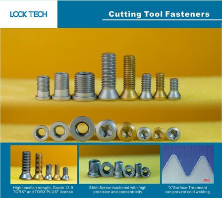 Custom Fasteners for Shim Screw Ball Head Screw Double Thread Screw Cheese Head Screw insert and Indexable Mill Fasteners